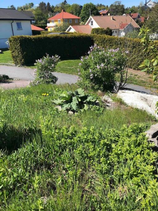 Comfortable 3 Bedroom Apartment On One Floor. Sandefjord Exterior foto